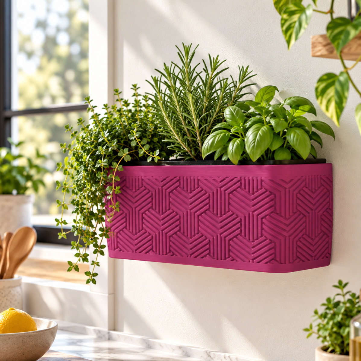 Wall Planter – Modern Geometric Hanging Planter for Herbs & Succulents