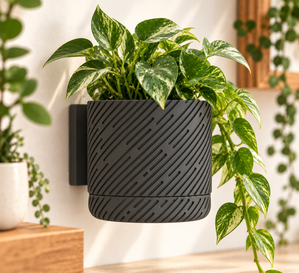 Wall Planter with Drainage Tray, 3D Printed Indoor Hanging Plant Pot, Modern Textured Wall Mounted Planter