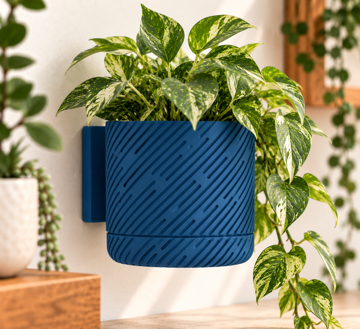 Wall Planter with Drainage Tray, 3D Printed Indoor Hanging Plant Pot, Modern Textured Wall Mounted Planter