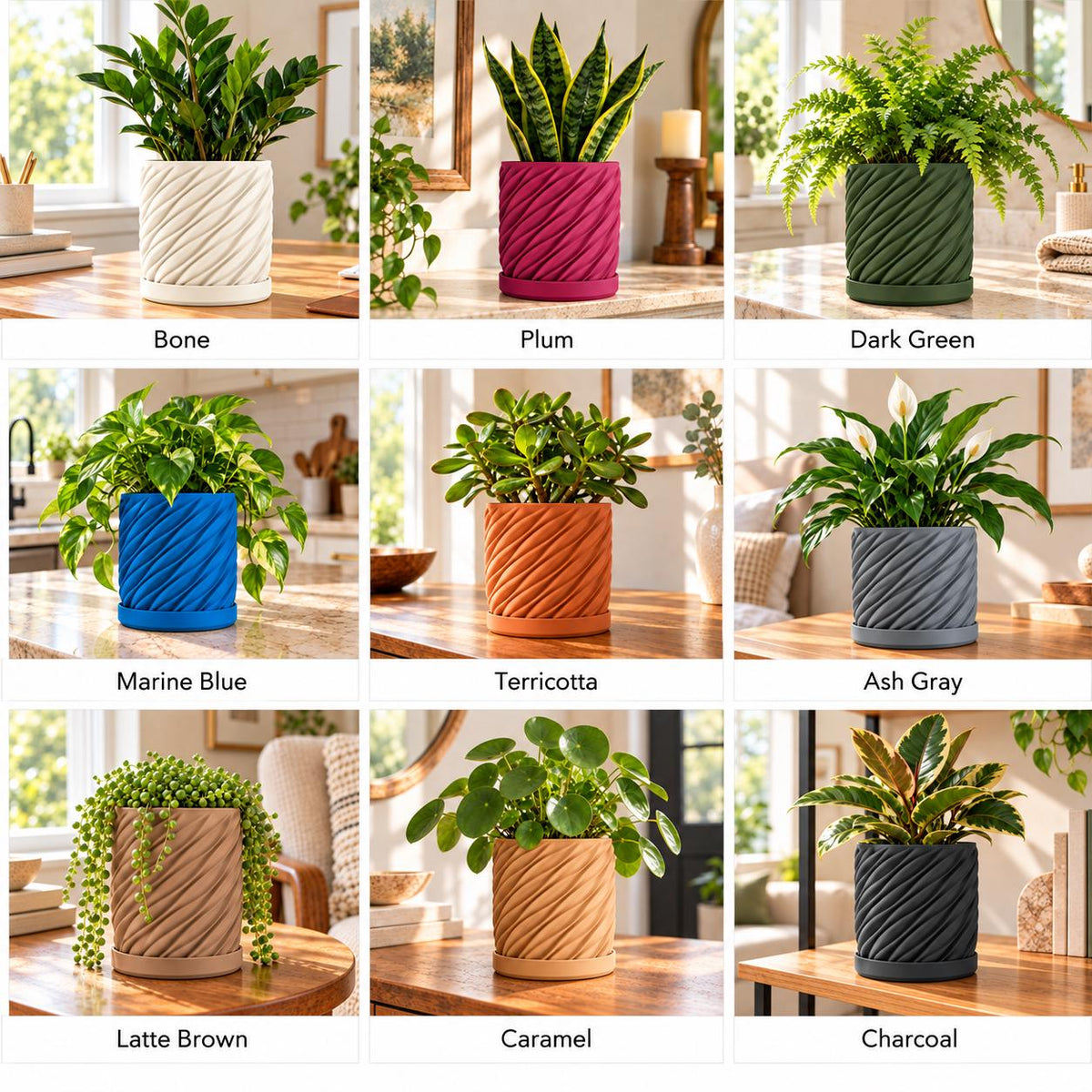 Spiral Planter Pot with Drip Tray | 4 Inch Indoor Plant Pot