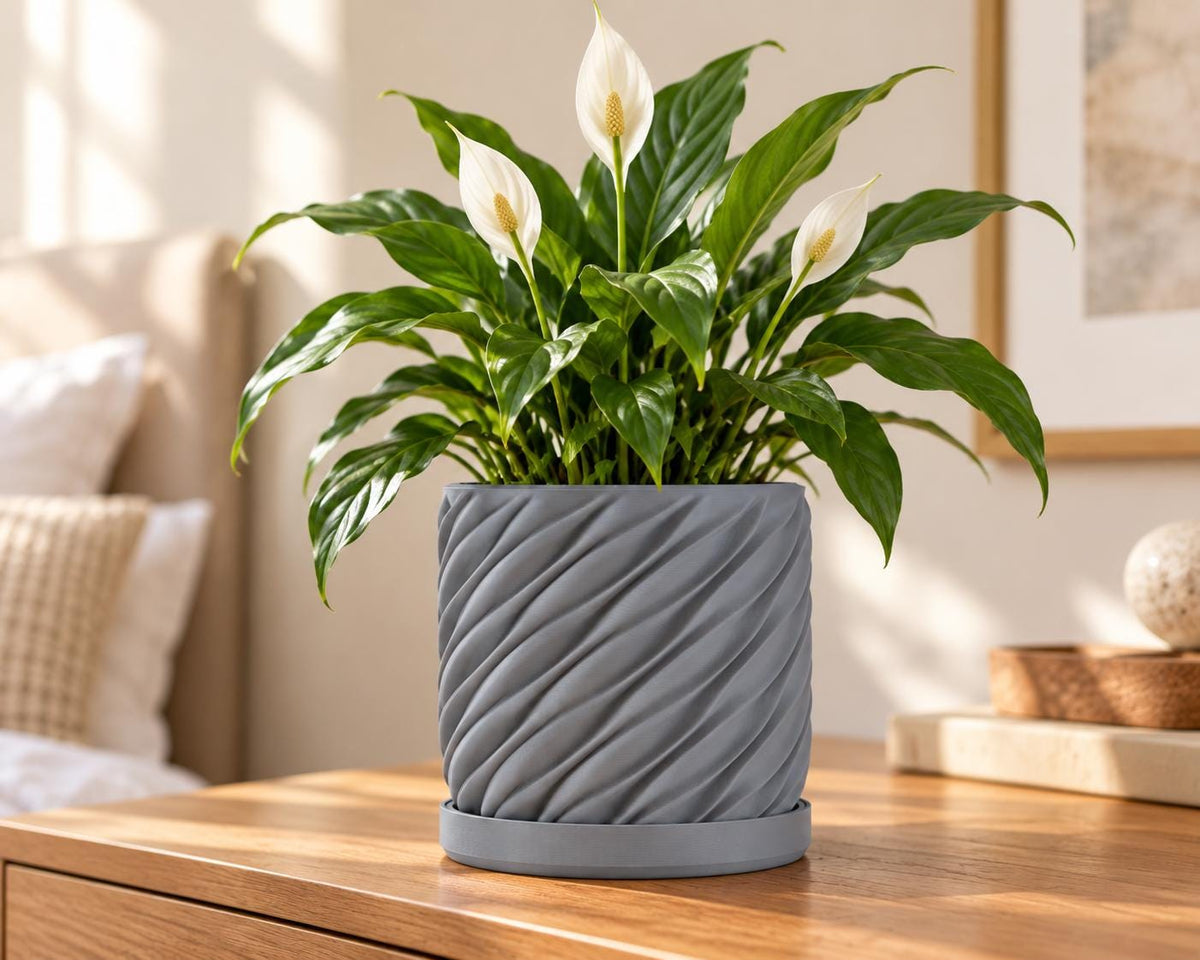 Spiral Planter Pot with Drip Tray | 4 Inch Indoor Plant Pot