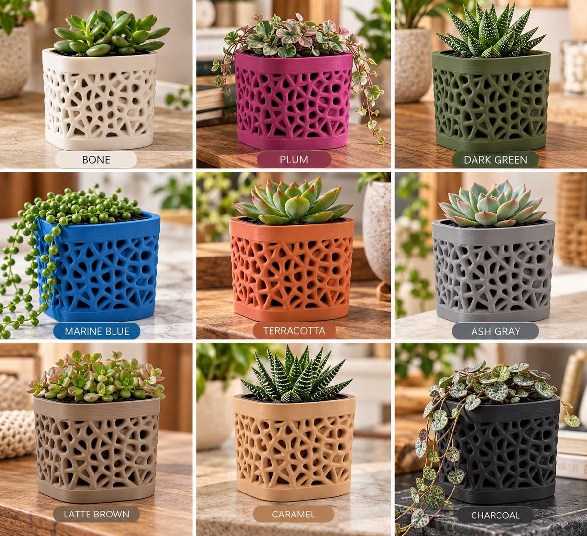 3D Printed Planter | Small Succulent Pot with Drainage