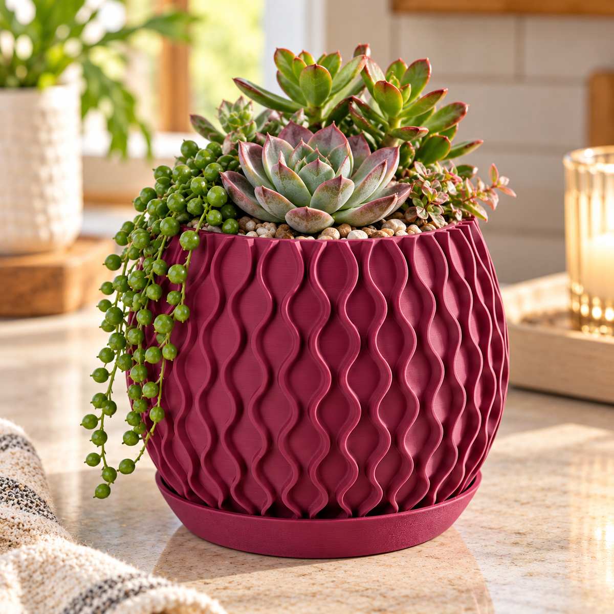 Modern Wavy Succulent Planter with Matching Tray