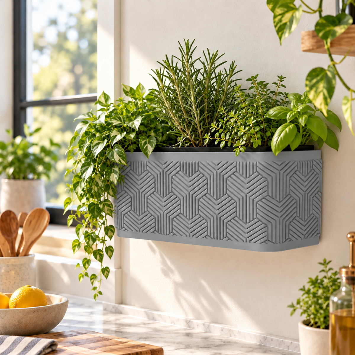 Wall Planter – Modern Geometric Hanging Planter for Herbs & Succulents